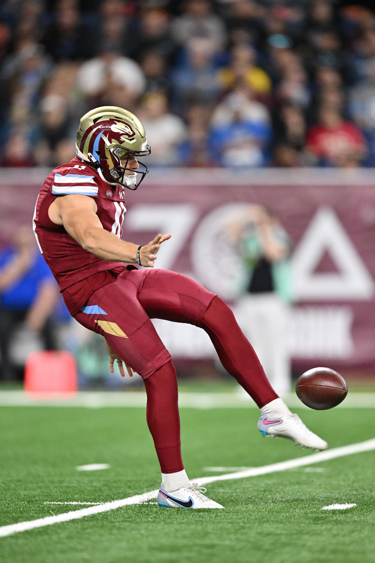Brock Miller punting in a professional game